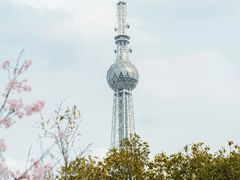 -文华公园(禅城区)