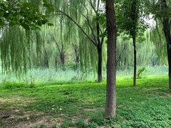 -秀水公园