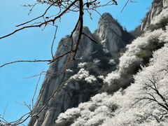 -北京凤凰岭