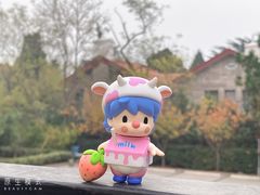 -八大关景区