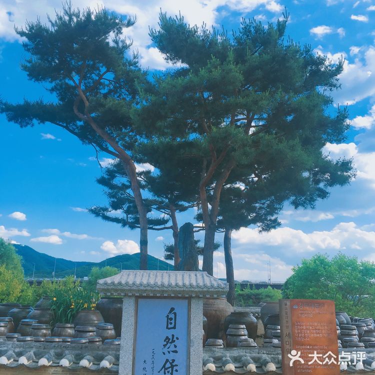 京畿道📍세미원 🚴‍♀️周末骑行