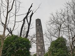 -上海佘山国家森林公园天马山园