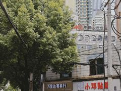 -Nectar One Cafe(勇烈路n1店)