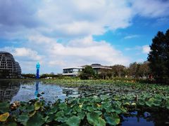 -海天湖公园