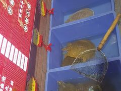 -状元甲·湖北甲鱼大王(汉口火车站店)
