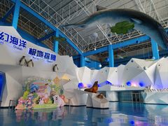 -泉城欧乐堡海洋极地世界