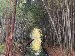 -同里国家湿地公园