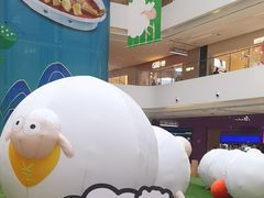 -阳光天地