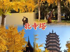 -拙政园