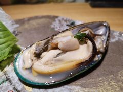 -鲤·鮨KOISUSHI