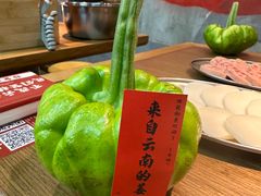 -滇牛云南火锅(桂林路店)