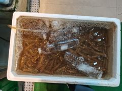 -威海海鲜王(窑头路店)