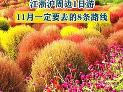 -花开海上生态园