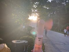 -广东惠东海龟国家级自然保护区