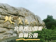 -北京西山国家森林公园