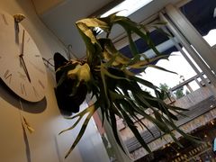 -METAL HANDS(五道营店)