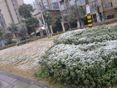 -庭院土灶柴火鸡(犀浦店)