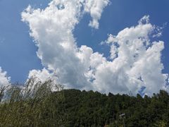 -牛背梁国家森林公园