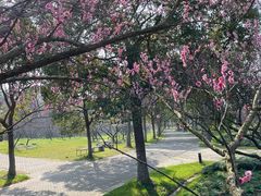 -上海海湾国家森林公园