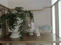 -慢脚印孕产中心(园区国金店)