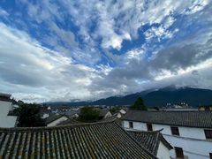 -喵屿·大理花园猫咖