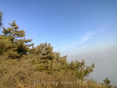 -阳台山自然风景区