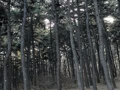 -沈阳辉山风景区