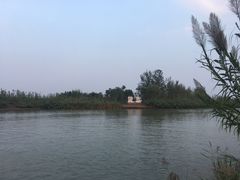 -泗洪洪泽湖湿地景区