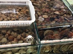 -南戴河海滨市场