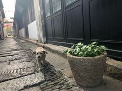 -张家港凤凰山景区恬庄古街