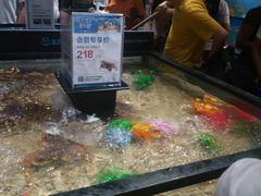 -盒马鲜生(曜一城店)