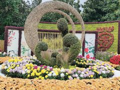 -上海共青森林公园