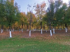 -长春世界雕塑园冰雪艺术天地