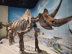 -国家自然博物馆