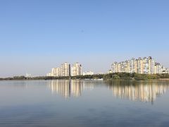 -金银湖国家城市湿地公园