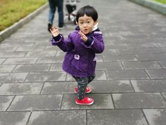 -丰台花园