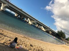 -吴淞口国际邮轮码头-停车场
