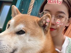 -喜柴咖啡·柴犬狗咖