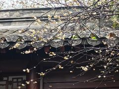 -钱王祠