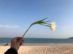 -仰口沙滩