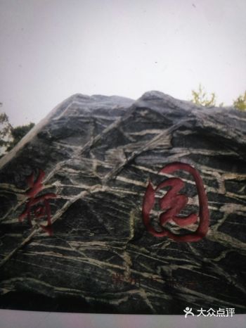 没来荷园之前很想来，来了之后逛完也没有觉得太大惊喜