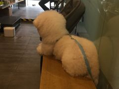 -PETKIT小佩宠物(古北店)