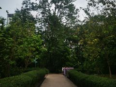 -九龙公园