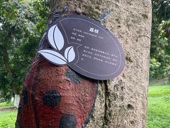 -张坝桂圆林公园
