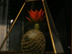 -福荫书店