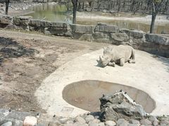-上海野生动物园
