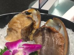 -海月轩海鲜豆捞(紫金塔店)