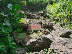 -海口火山口国家地质公园