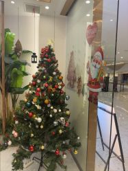 -芳朵美容养生SPA