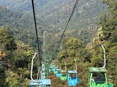 -野象谷景区